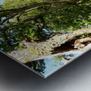 Scottish Highlands Summer Style Metal print