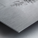 Laughter Silvered Wings Metal print