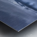 Alaskan Beach Folliage Icy Strait Point Metal print