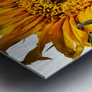 Creative Sunflower Metal print