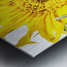 Artistic Flower Metal print