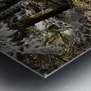 Winters Sunlit path Metal print