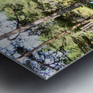 Scottish Highlands Summer Lochan Metal print