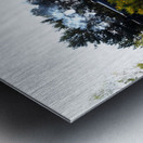  Strathspey Steam Railway on the Go                                                                                                                     Metal print