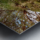 Forest Trail Through The Scottish Highlands Metal print