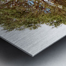 Scottish Highlands Summer Woodland Trail Metal print