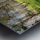 Scottish Highlands Spring Woodland Dog Walk                                                                                                                      Metal print