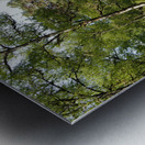  May Trail Through The Scottish Highlands                                                                                                                      Metal print