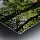 Scottish Highlands Spring                                                                                                        Metal print