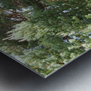 Mays Delight in the Scottish Highlands                                                                                                                Metal print