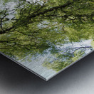 Mays Forest Trail In The Scottish Highlands                                                                                                           Metal print