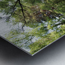  Mays Delight  In The Scottish Highlands                                                                                                                     Metal print