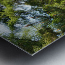  Springs Song in the Scottish Highlands                                                                                                                      Metal print