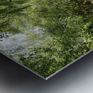 Springs Forest Walk in the Scottish Highlands                                                                                                                      Metal print