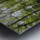 Scottish Highlands Springs Trail                                                                                         Metal print