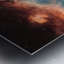 Seagull Nebula Metal print