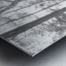 Monochrome Summer Pine Forest Metal print