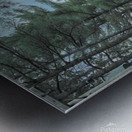 Lined Trees Art Print - Adirondack Mountains  Metal print