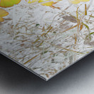  Abstract Primroses                                                                                                                     Metal print