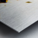 Abstract Lifes Reflections                                                                                                                      Metal print