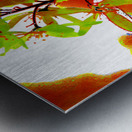 Abstract Florals                                                                                                                      Metal print