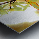    Abstract Vibrant Florals                                                                                                                   Metal print