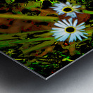  Abstract Daises                                                                                                                      Metal print