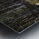  Springs Cycle Ride through the Scottish Highlands                                                                                                                     Metal print