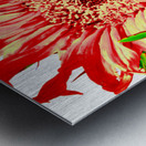 Orange Abstract Sunflower Metal print