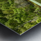 Summer Lochan in the Scottish Highlands Metal print