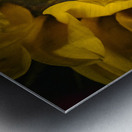 The Sunflower Metal print