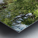   Springs Welcome in the Scottish Highlands                                                                                                                     Metal print