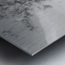 Rowan Tree in Glossy Monochrome Too Metal print