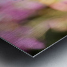 Spring Florals 1 Metal print