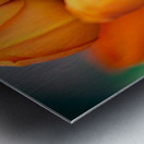 Spring Florals 5 Metal print