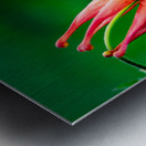 Spring Florals 8 Metal print