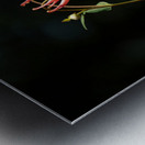 Spring Florals 9 Metal print