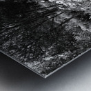 Scottish Highlands Wild Flowers                                                                                                                       Metal print