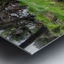  Scottish Highlands Home of the Wild Song                                                                                                                      Metal print