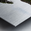  Lone Sentinel in the Scottish Highlands                                                                                                                     Metal print