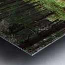  Home of the Wild Song in the Scottish Highlands                                                                                                                     Metal print