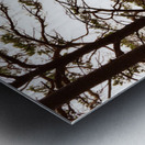 Loch Side View in the Scottish Highlands  Metal print