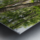 Springs Nature Waltz through the Scottish Highlands                                                                                                                       Metal print