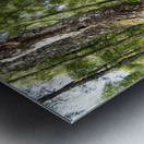 Springs Trail through the Scottish Highlands                                                                                                                      Metal print