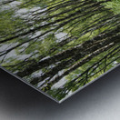 Springs Happiness through the Scottish Highlands                                                                                                                      Metal print