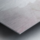 Delicate White Sunflower on  a Pale Abstract Background Metal print