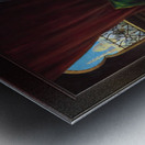 Harem Beauty by Adrien Henri Tanoux Metal print