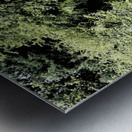 Secret Trail through the Scottish Highlands                                                                                                                      Metal print