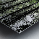 Natures Colourful Flow through the Scottish Highlands                                                                                                                      Metal print