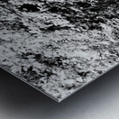 Monochrome Forest through the Scottish Highlands                                                                                                                      Metal print